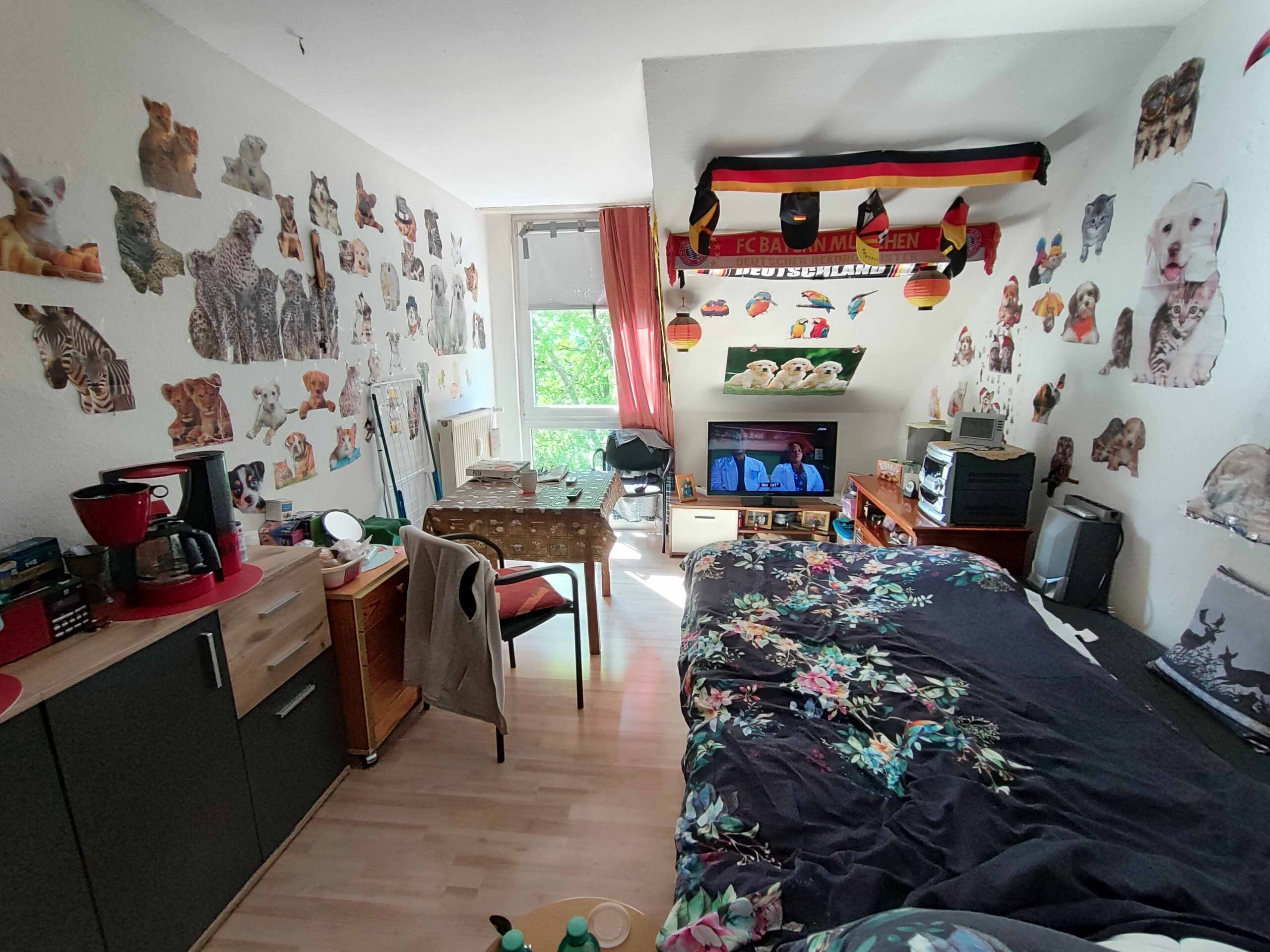 1 Zimmer-Apartment mit Stellplatz – Ansicht 2
